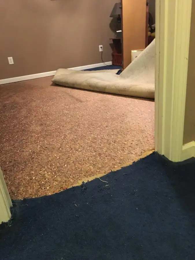 Carpet pad removal revealing water damage during Drying & Dehumidification in Newton