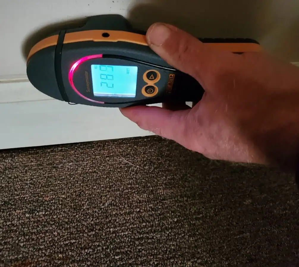 Moisture detection at baseboard during Sewage Cleanup & Sanitation in Newton